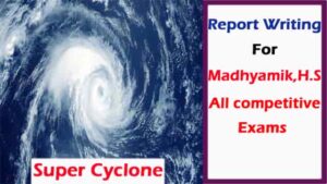 Cyclone Report Writing