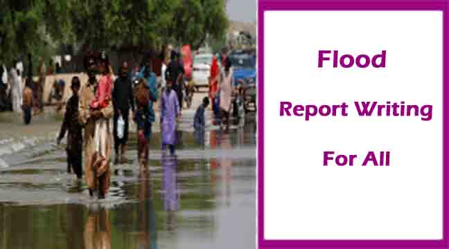 Flood Report Writing