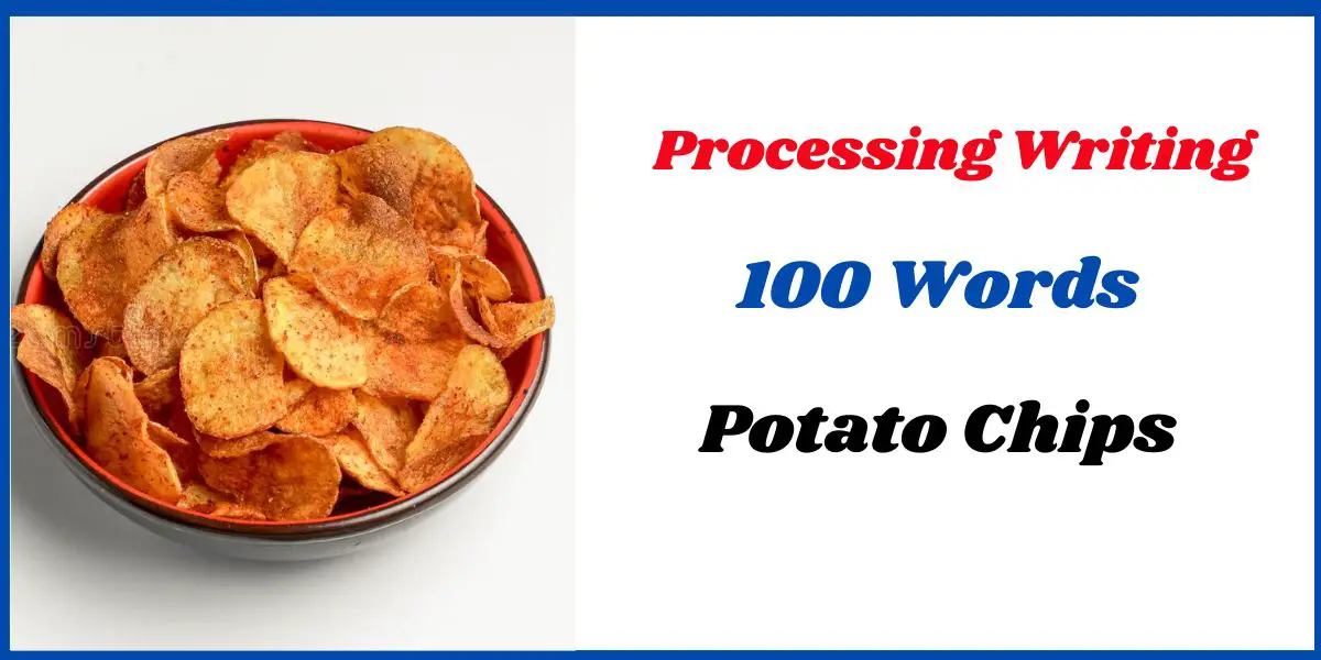 Potato Chips Processing Writing
