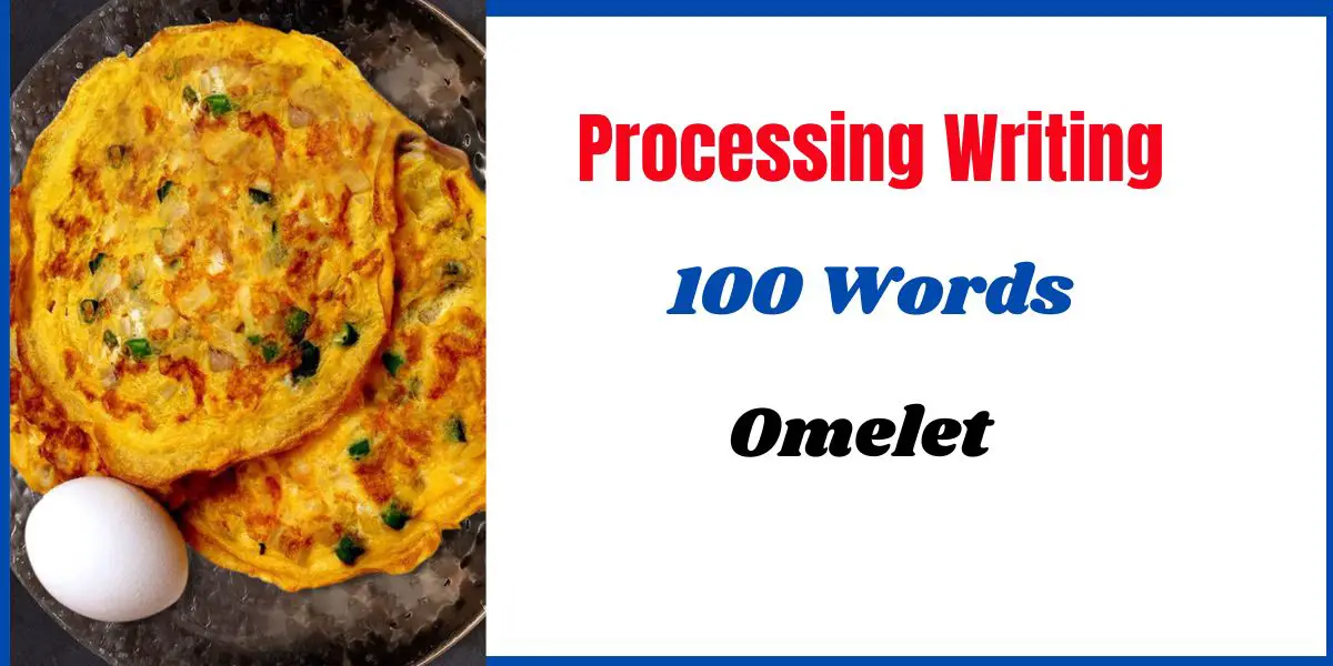 Omelet Processing Writing